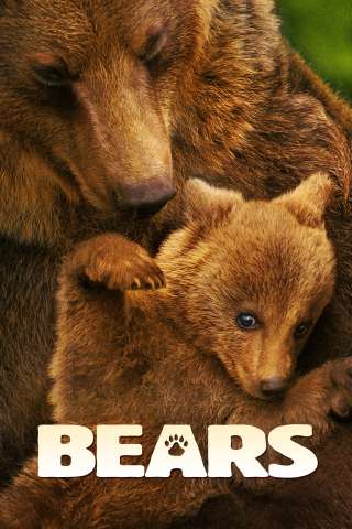 Bears (2014) streaming
