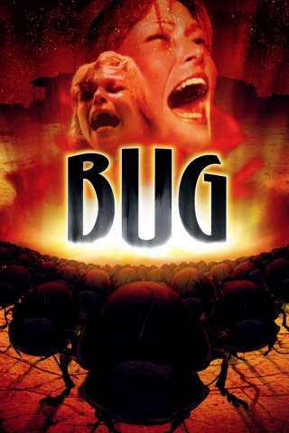 Bug - Insetto di fuoco (1975) streaming
