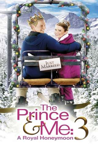 Un principe tutto mio 3 (2008) streaming