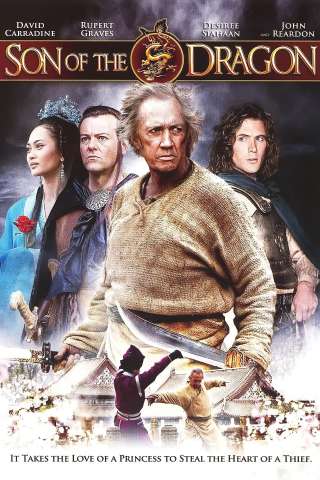 La principessa e la magia del drago (2008) streaming
