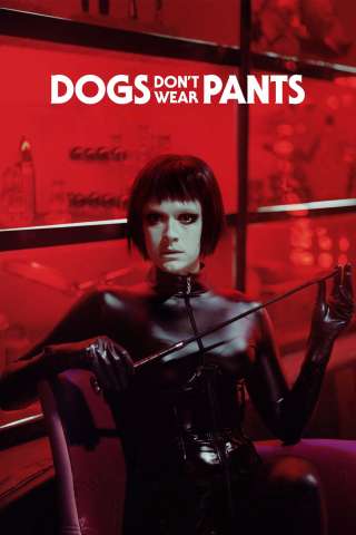Dogs Don't Wear Pants (2019) streaming