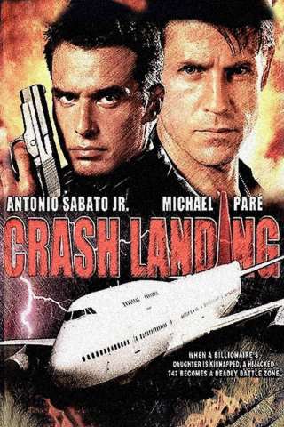 Atterraggio d'emergenza (2006) streaming