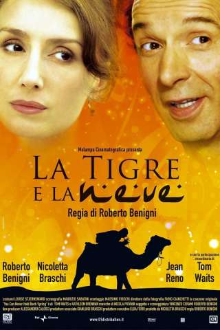 La tigre e la neve (2005) streaming