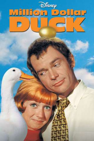 Un papero da un milione di dollari (1971) streaming
