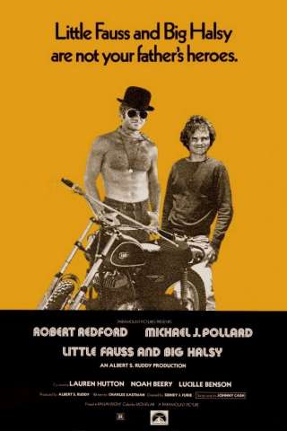 Lo spavaldo (1970) streaming