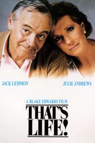 Così è la vita! (1986) streaming