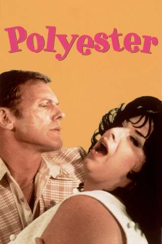 Polyester (1981) streaming