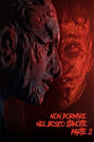 Non dormire nel bosco stanotte - Parte 2 (2021) streaming