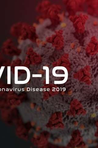 Covid-19 (2021) streaming