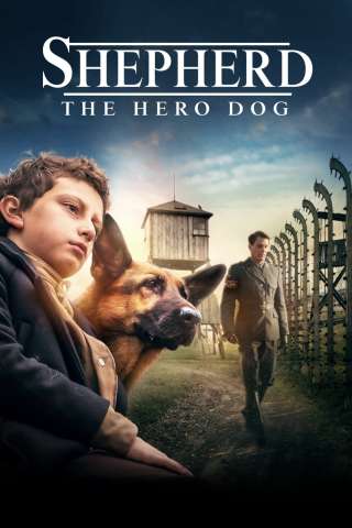 Zack, cane eroe (2020) streaming