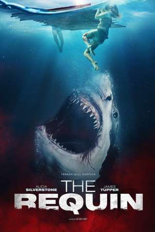 Sharks - Incubo dagli abissi (2022) streaming