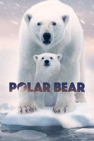 Polar Bear (2022) streaming