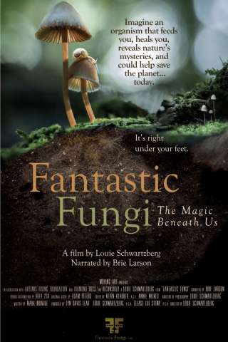Funghi fantastici (2019) streaming