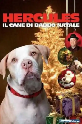 Hercules - Il Cane di Babbo Natale (2011) streaming