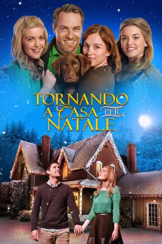 Tornando a casa per Natale (2014) streaming