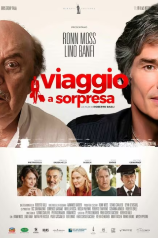 Viaggio a sorpresa (2022) streaming