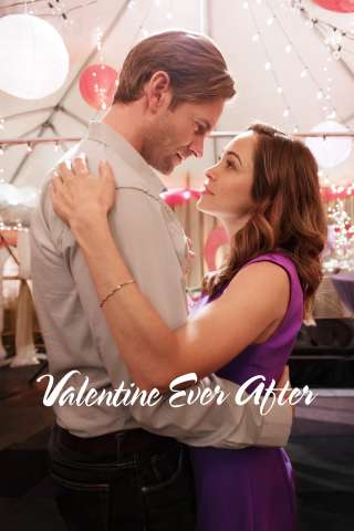 Un amore inaspettato (2016) streaming