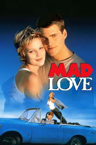 Una folle stagione d'amore (1995) streaming