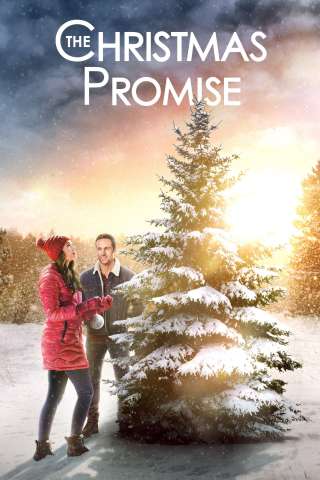 Ricomincio dal Natale (2021) streaming