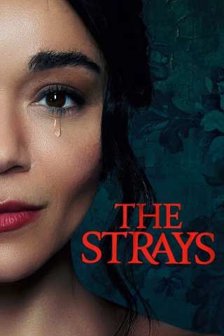 The Strays (2023) streaming