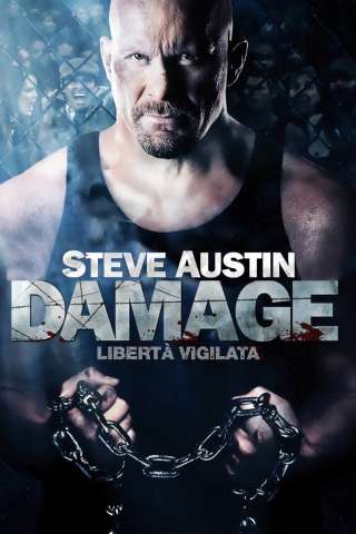 Damage - Libertà vigilata (2009) streaming