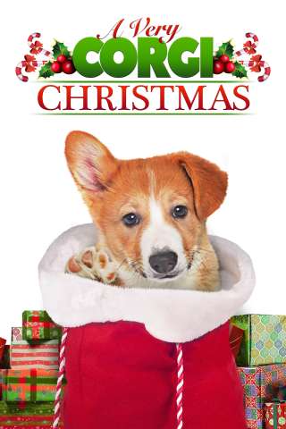 Un Natale da Corgi (2019) streaming