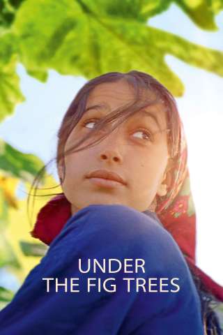 Il frutto della tarda estate (2022) streaming