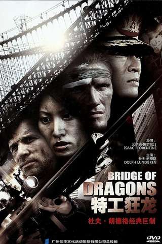 Il ponte del dragone (1999) streaming