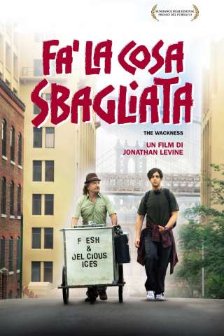 Fa' la cosa sbagliata (2008) streaming