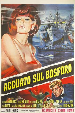 Agguato sul Bosforo (1969) streaming