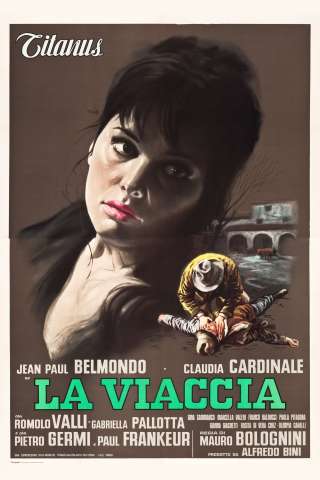 La viaccia (1961) streaming