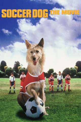 Centravanti a quattro zampe (1999) streaming