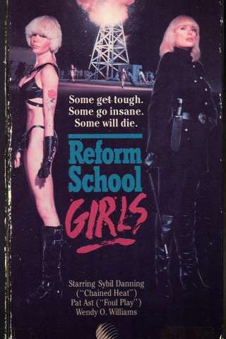 Scuola di buone maniere (1986) streaming