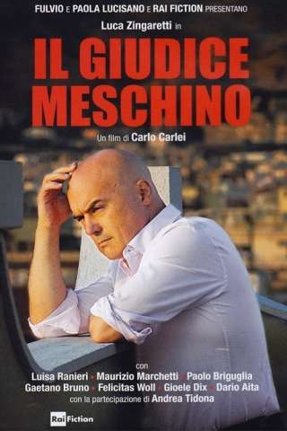 Il Giudice Meschino (2014) streaming