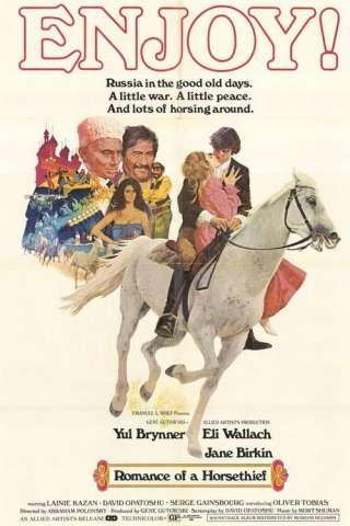 Il romanzo di un ladro di cavalli (1971) streaming
