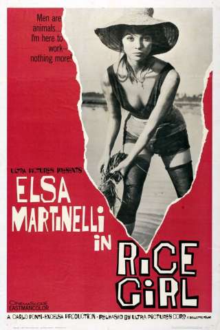 La risaia (1956) streaming