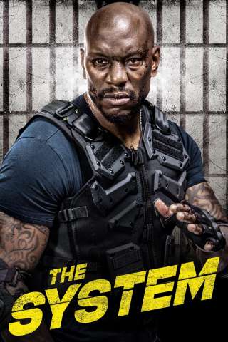 Il sistema (2022) streaming
