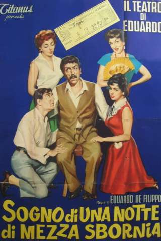 Sogno di una notte di mezza sbornia (1959) streaming
