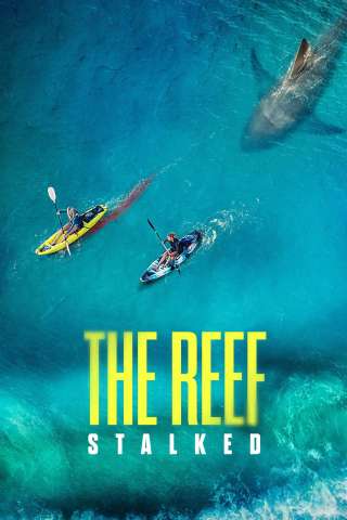 The Reef: intrappolate (2022) streaming