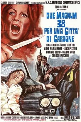 Due Magnum .38 per una città di carogne (1975) streaming