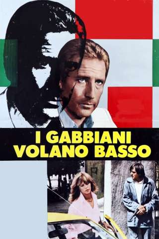 I gabbiani volano basso (1978) streaming