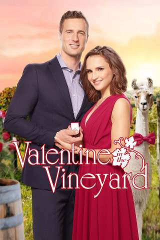Un San Valentino molto speciale (2019) streaming