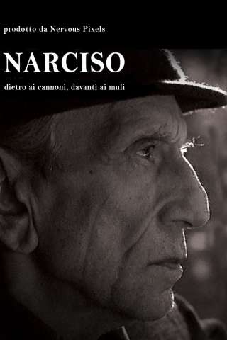 Narciso - Dietro ai cannoni, davanti ai muli (2008) streaming