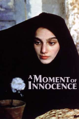 Pane e fiore (1996) streaming