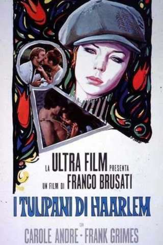 I tulipani di Haarlem (1970) streaming