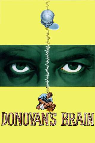 Il cervello di Donovan (1953) streaming