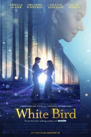 Wonder - White Bird (2024) streaming