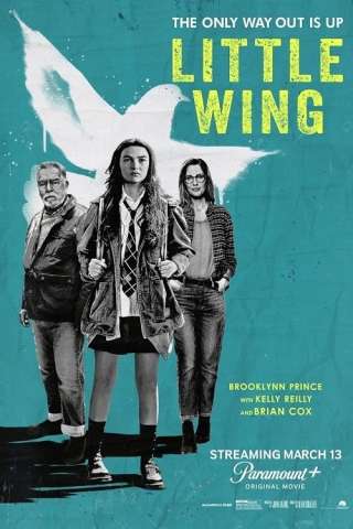 Little Wing - Il senso di casa (2024) streaming