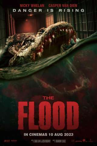 Alligator - The Flood (2023) streaming