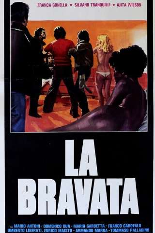 The Stunt (1977) streaming